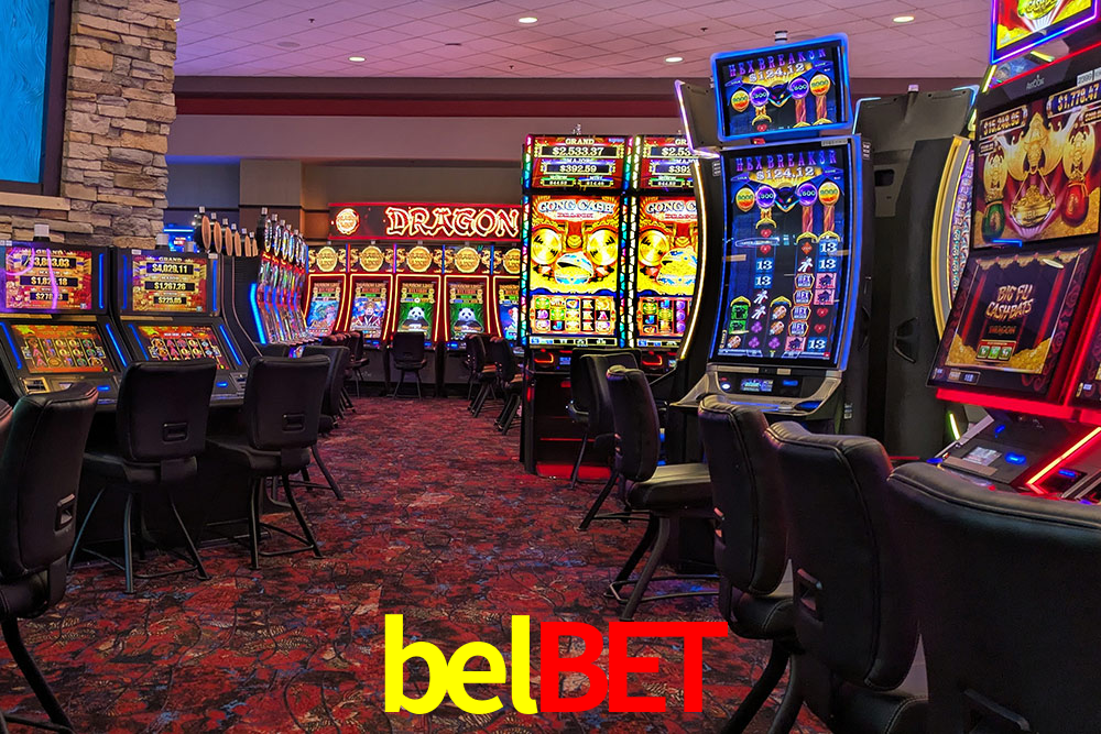 Statistics belbet